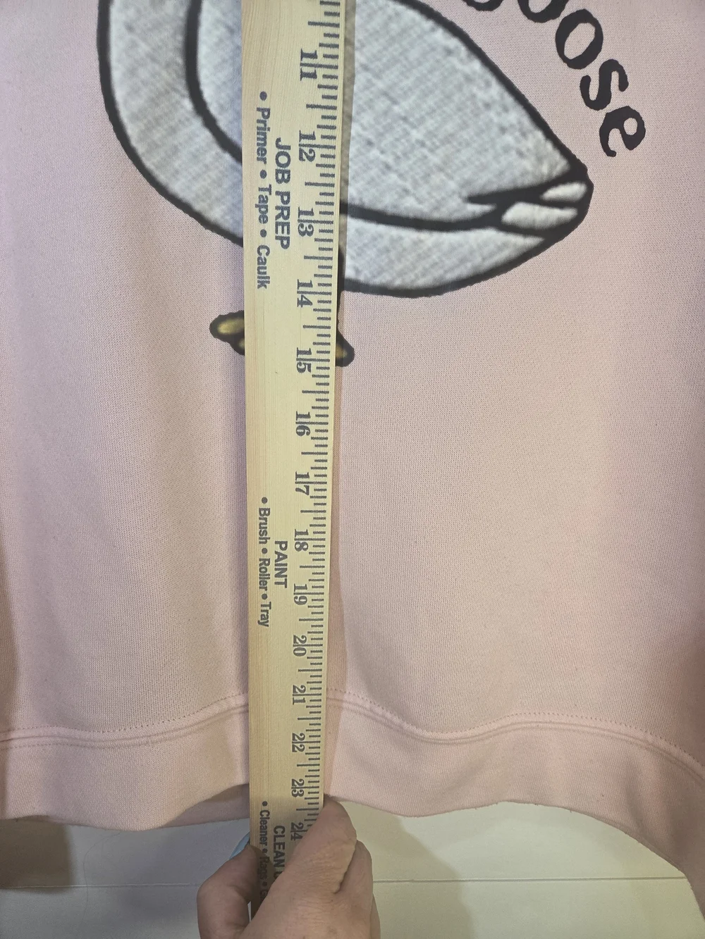 Source Unknown Pink 'Silly Goose' Crewneck Sweatshirt - Picture 4 of 8